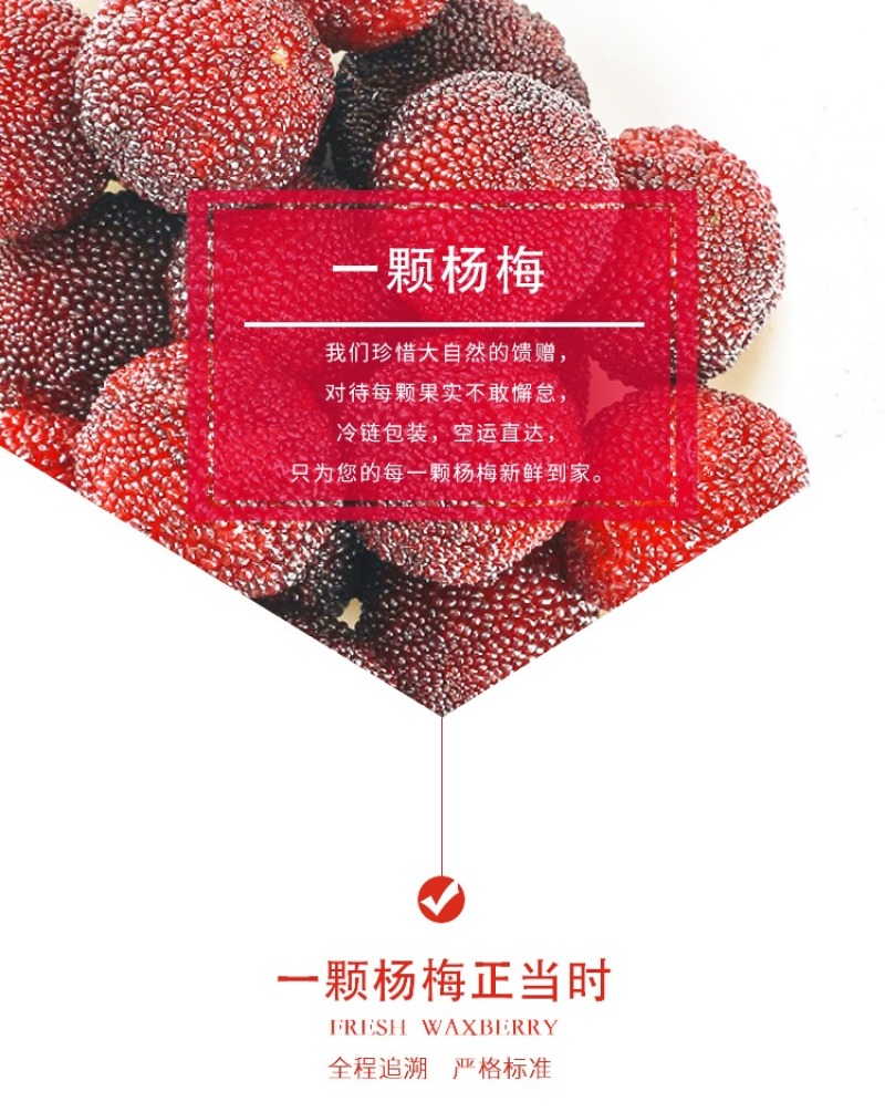 浮宫杨梅产地一手，发顺丰空运，时效件48小时到，支持社区
