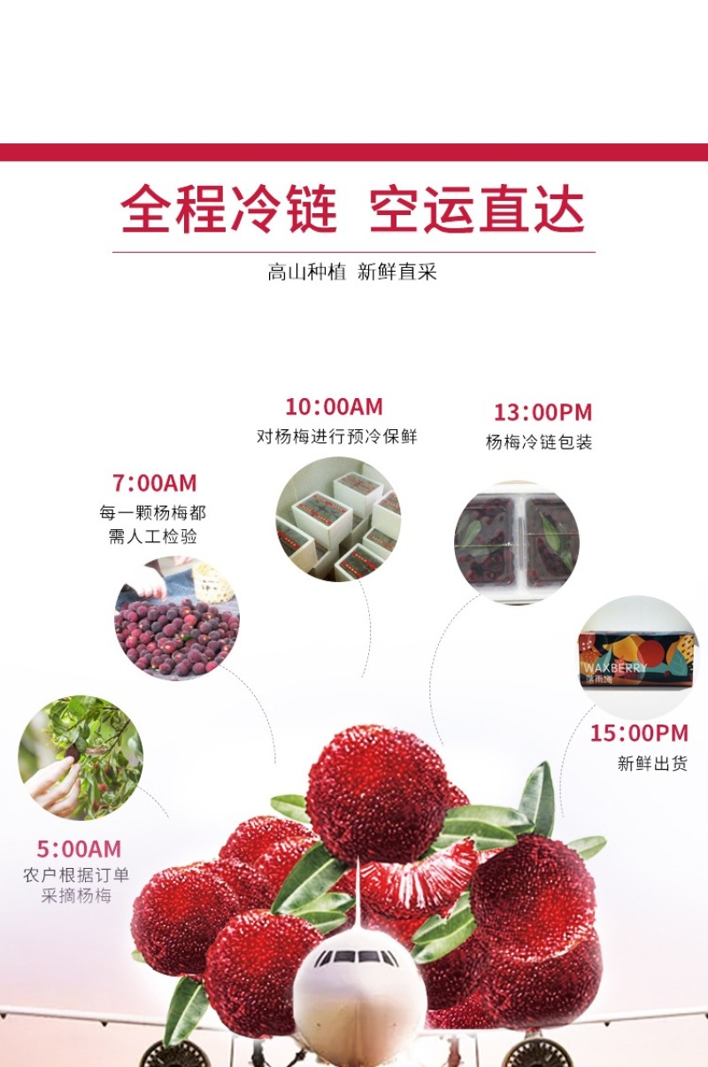 浮宫杨梅产地一手，发顺丰空运，时效件48小时到，支持社区