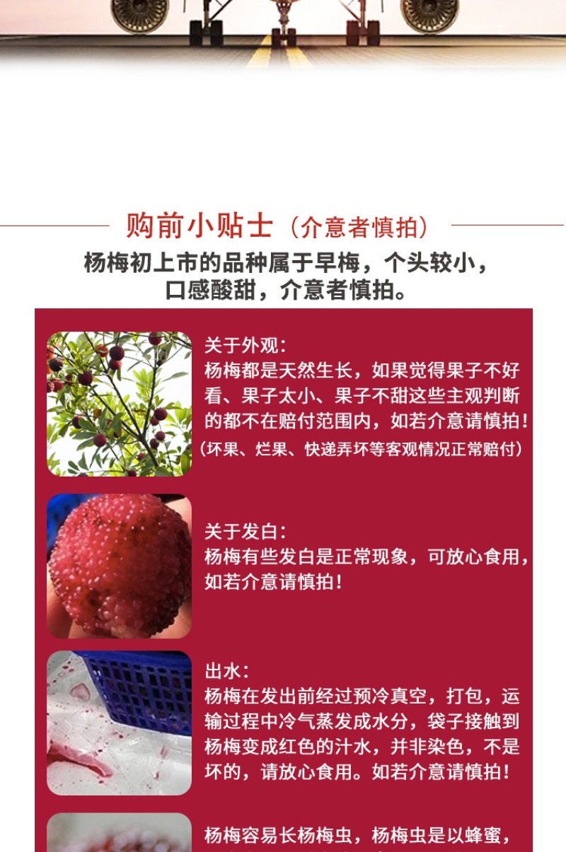 浮宫杨梅产地一手，发顺丰空运，时效件48小时到，支持社区