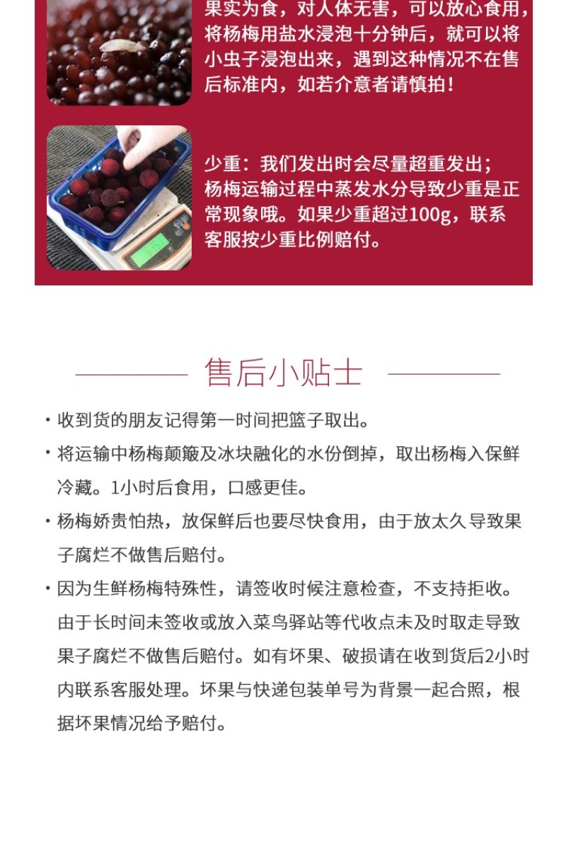 浮宫杨梅产地一手，发顺丰空运，时效件48小时到，支持社区