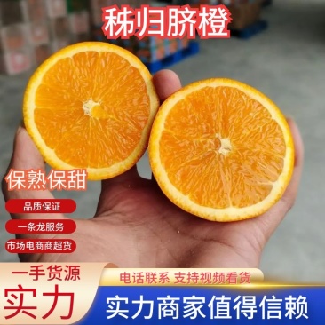秭归精品伦晚春橙皮薄肉厚汁多味甜农户一手货批发。