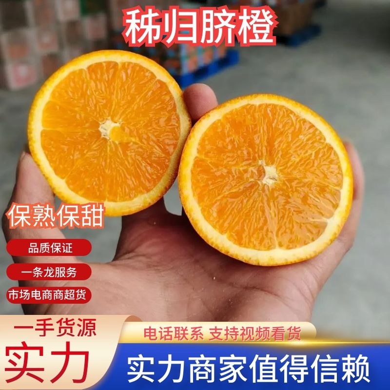 秭归精品伦晚春橙皮薄肉厚汁多味甜农户一手货批发。
