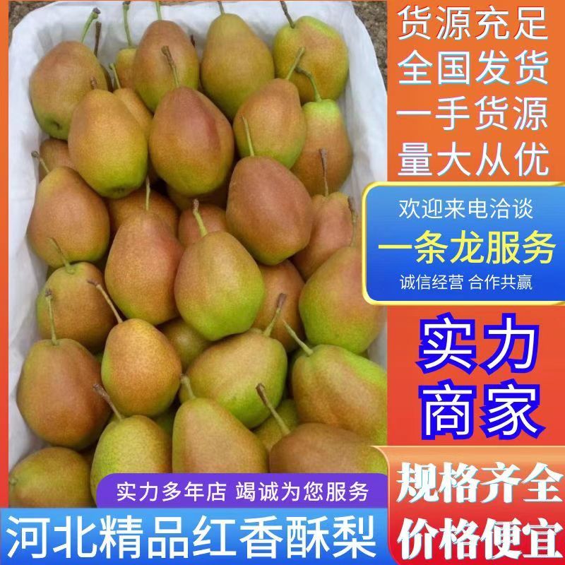 【推荐】河北玉露香货源充足品质保证代发全国