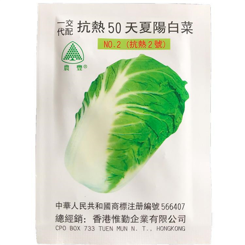 抗热50天夏阳白菜种子进口抗热白菜种子抗热2号早熟耐高温