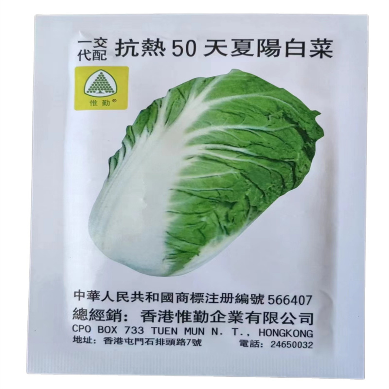 抗热50天夏阳白菜种子早熟夏播大白菜种子抗热结球包心