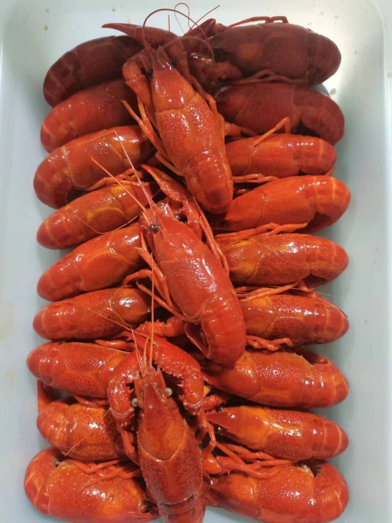 预制调味麻辣小龙虾，水产加工源头工厂