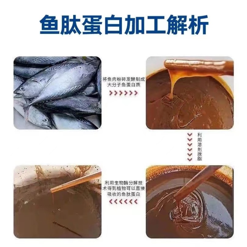 进口酶解鱼蛋白原浆液体通用型生根壮根叶绿抗逆转色膨果