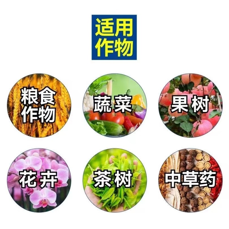 进口酶解鱼蛋白原浆液体通用型生根壮根叶绿抗逆转色膨果