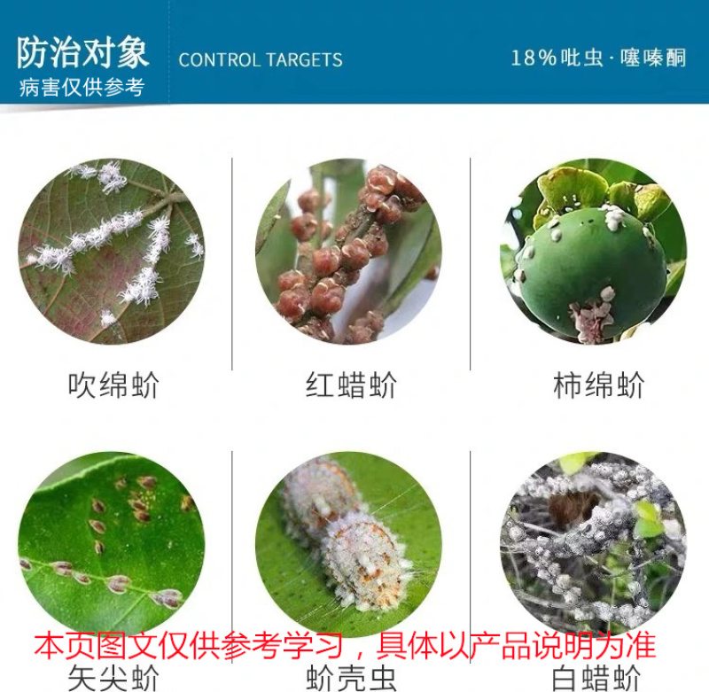 蚧壳虫专用药吡虫噻嗪酮介壳虫果树多肉花卉