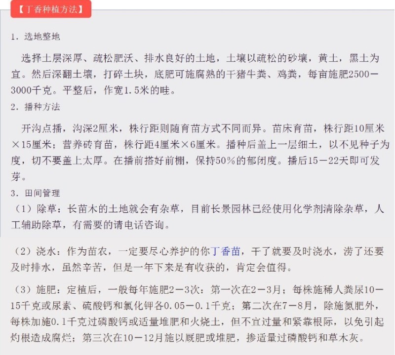 紫丁香种子丁香树种子北方耐寒优质紫丁香花种子暴马丁香种籽