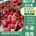 精品千禧圣女果大量上市品质保证诚信经营对接商超批发商