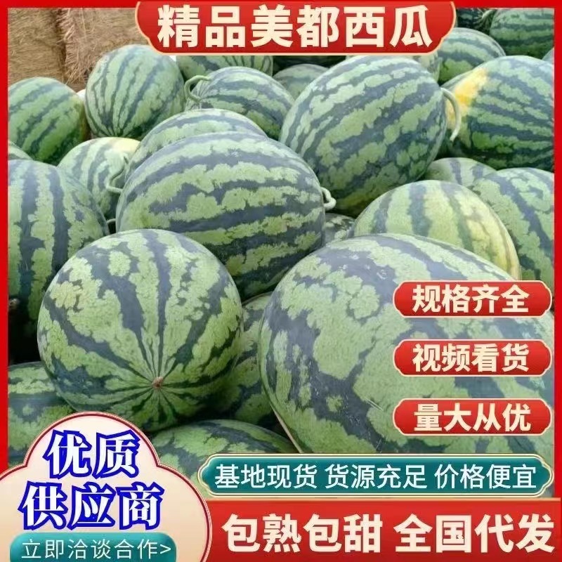 露天自生苗金杂二零湖北美都西瓜需要的老板联系