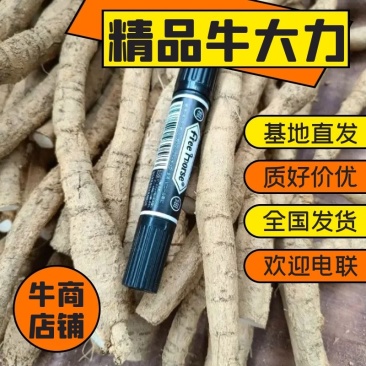 大叶牛大力鲜货干自产自销全国发货长期供应批发基地直发