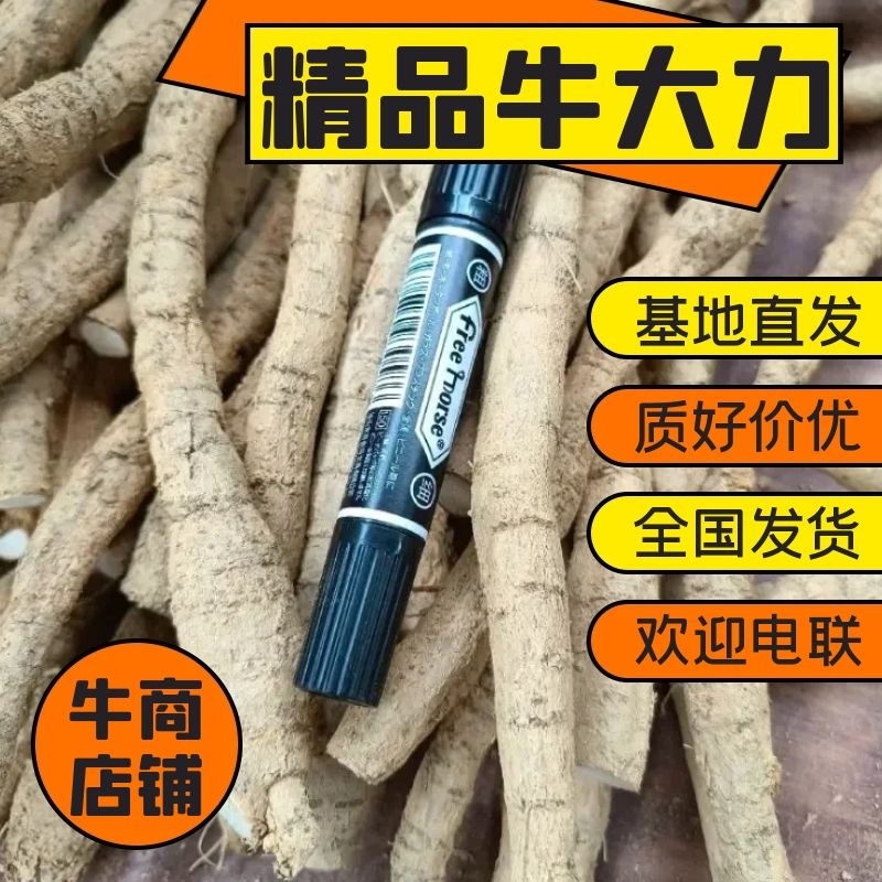 大叶牛大力鲜货干自产自销全国发货长期供应批发基地直发
