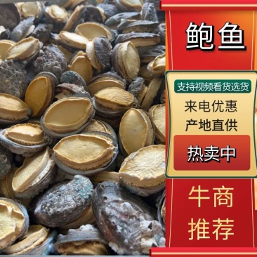 鲍鱼优质鲍鱼山东鲍鱼品质有保障欢迎选购