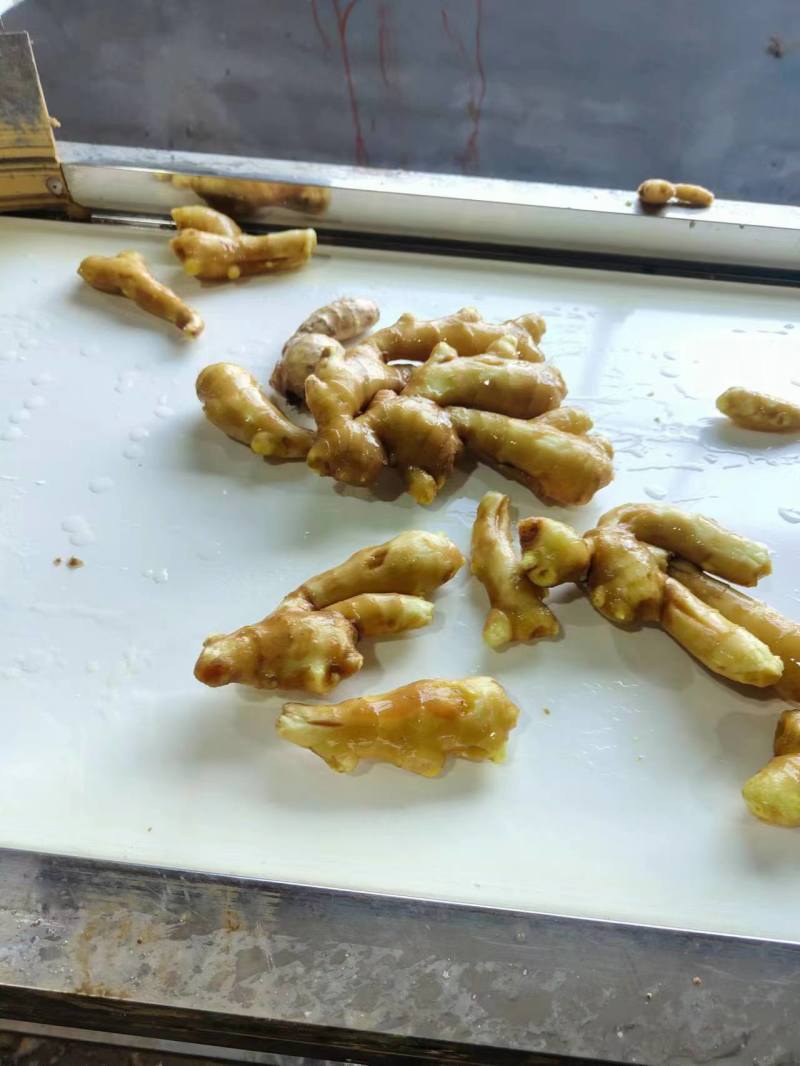 大黄姜生姜价格，山东生姜价格