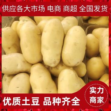 【精品土豆】山东土豆基地直发低价供应各大市场电