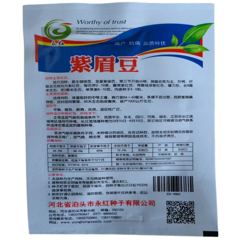 紫眉豆种子摘不败四季红扁种子高产红眉豆种子早熟