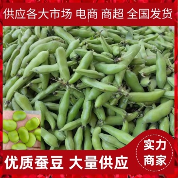 【蚕豆】湖北蚕豆大粒青皮蚕豆产地直发，随行就市