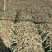 【荐】兰州高原夏菜精品红笋产地发货，诚信经营