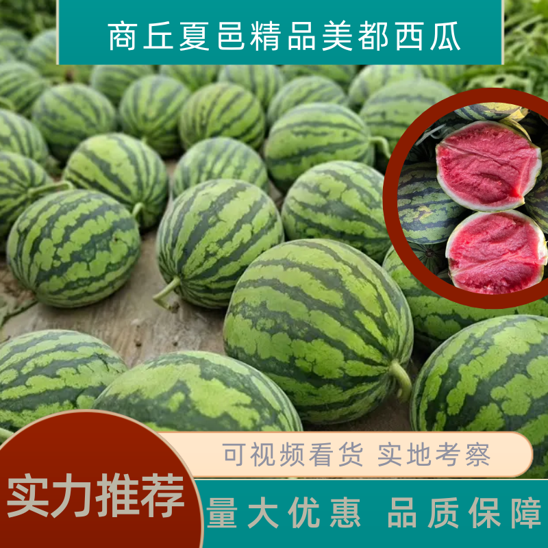 陕西精品美都，全国代办，产地直供，西瓜大量走货