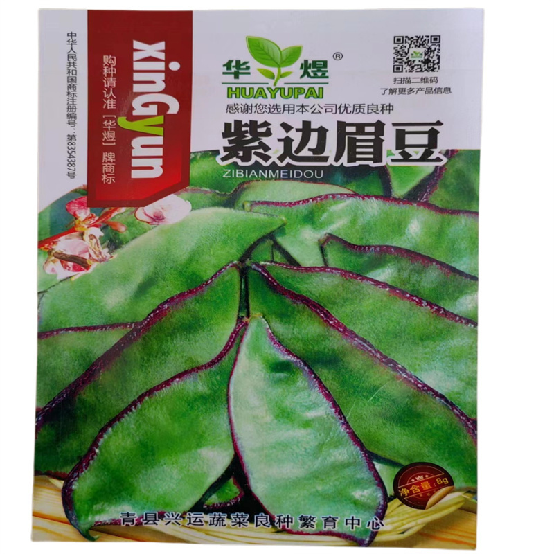 紫边眉豆种子大宽扁豆角种子高产抗病