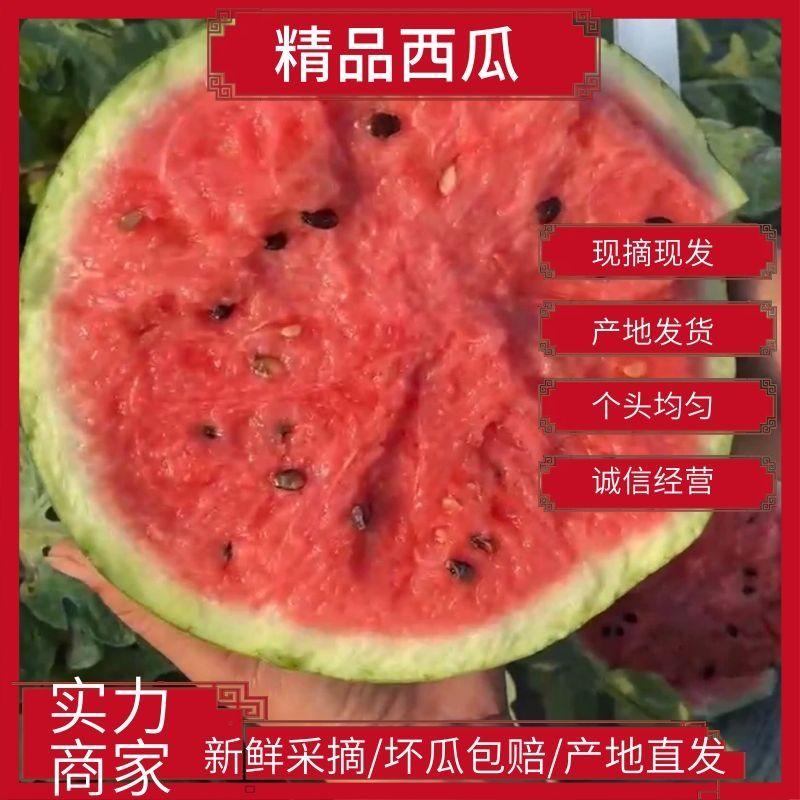 【精品】甜王西瓜，产地大量供应直发，欢迎致电合作