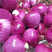 精品洋葱紫皮，红洋葱产地直发欢迎咨询合作品质保证