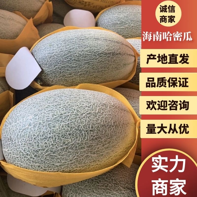 【推荐】哈密瓜、小蜜25、小蜜瓜对接各大电商平台各大市场