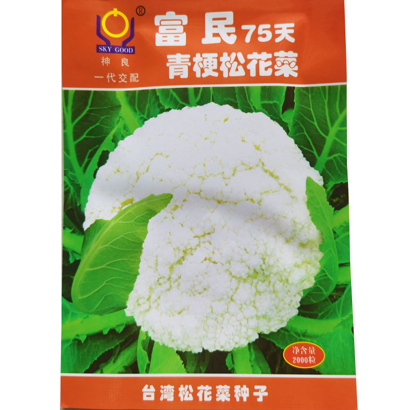 青梗松花菜种子富民756065天早熟矮脚免盖耐热