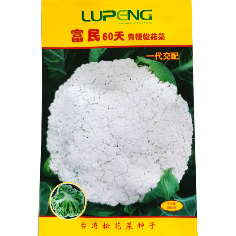 青梗松花菜种子富民756065天早熟矮脚免盖耐热