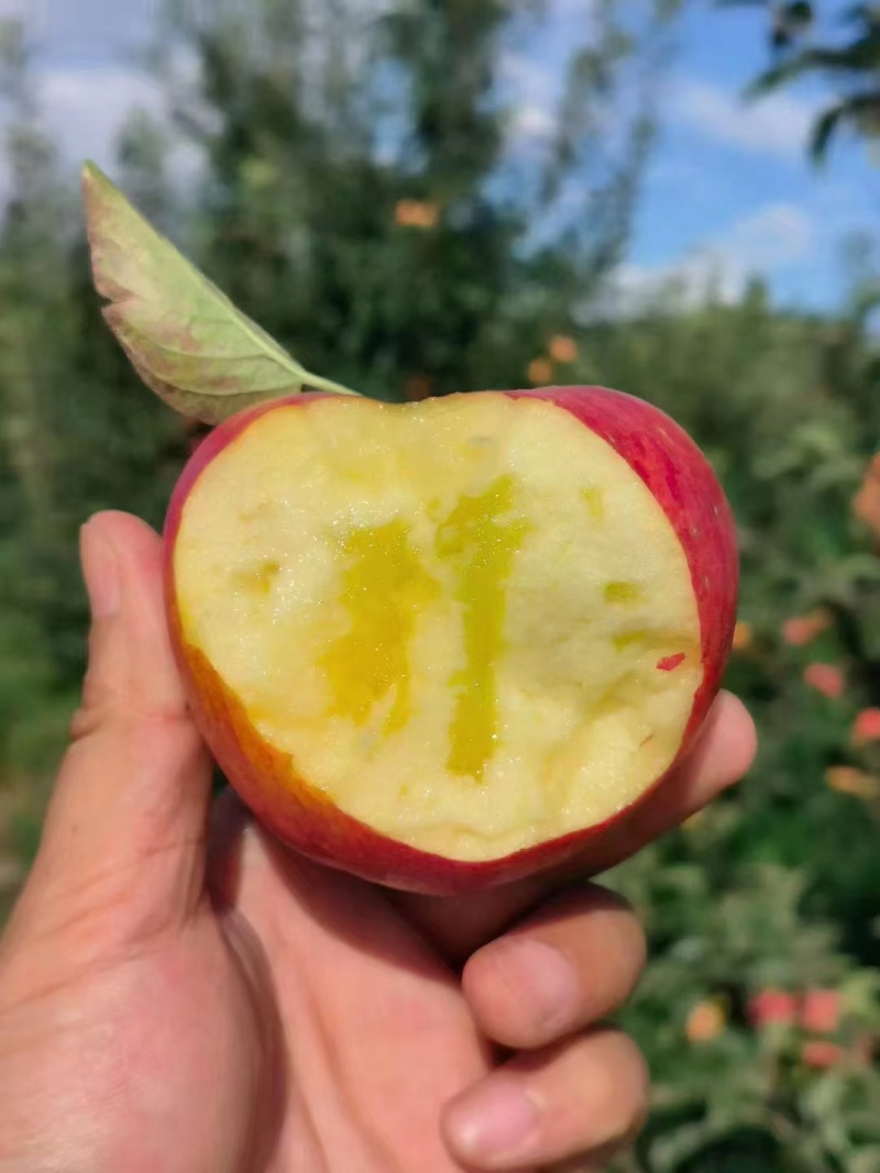 昭通红露冰糖心华锁米奇拉脆甜多汁量大从优