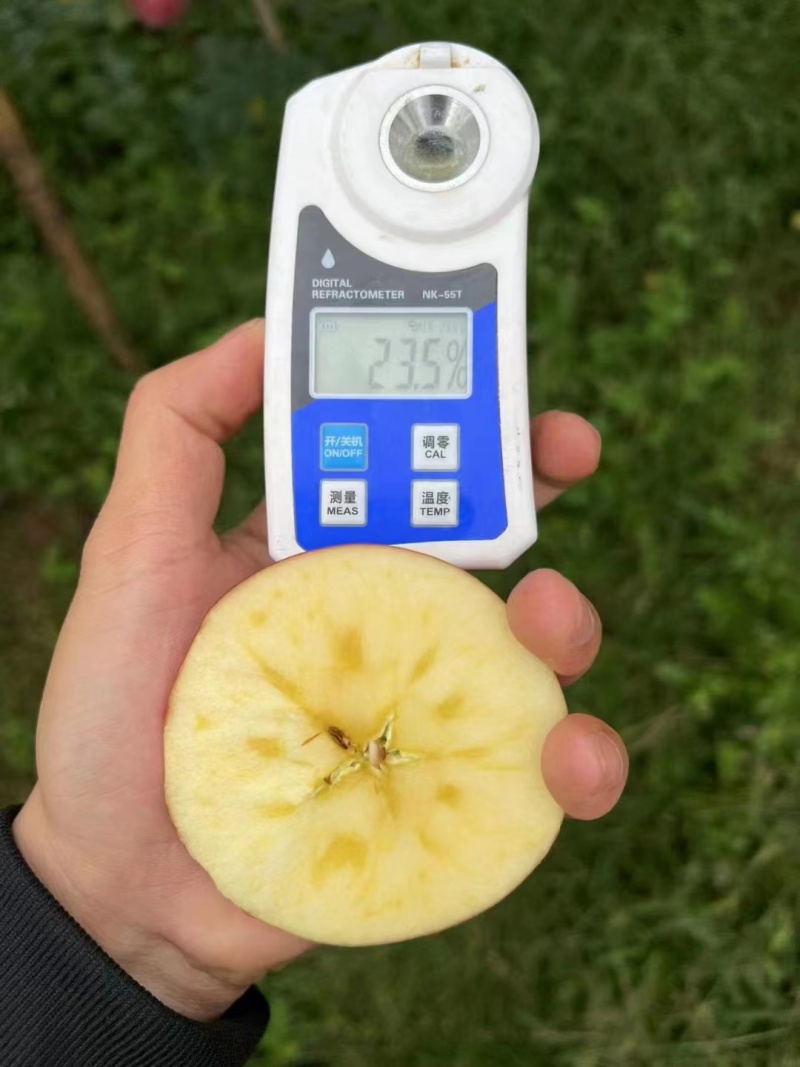 昭通红露冰糖心华锁米奇拉脆甜多汁量大从优
