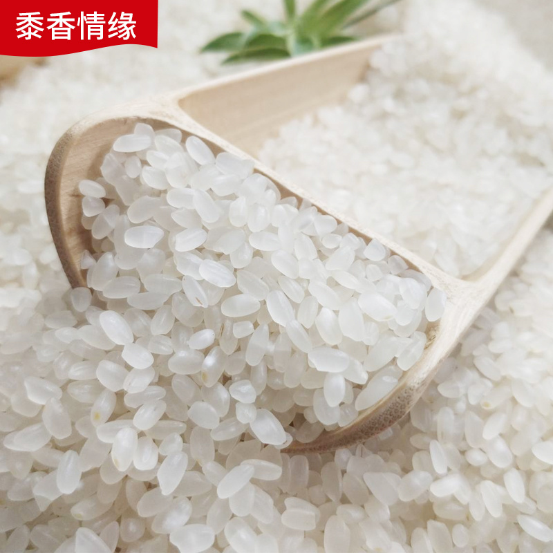 江苏精品大米大量供货价格美丽可视频看货欢迎来电咨询
