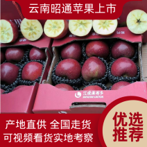 【推荐】丑苹果60-65香甜可口大量供应量大从优