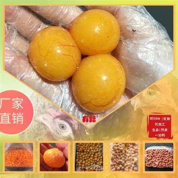 冻品食材原料鸡副蛋黄_山东有路食品供应