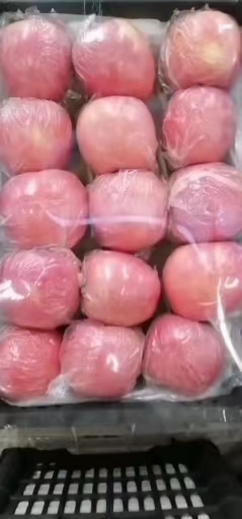 纸十膜红富士苹果坡上铺反光膜红度好优质苹果