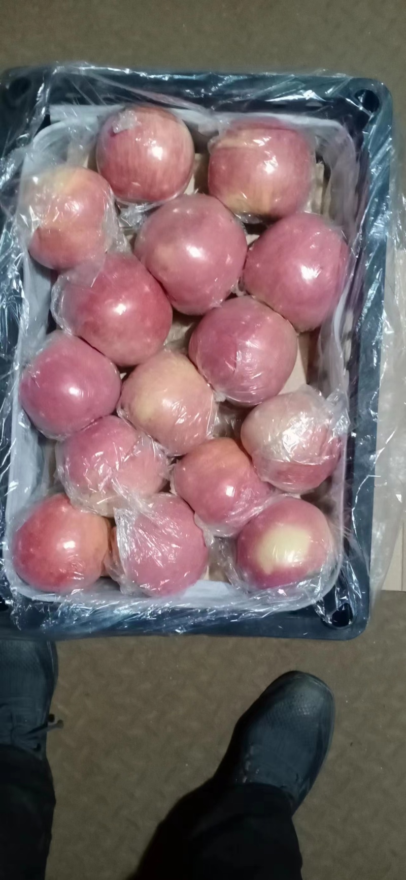 纸十膜红富士苹果坡上铺反光膜红度好优质苹果