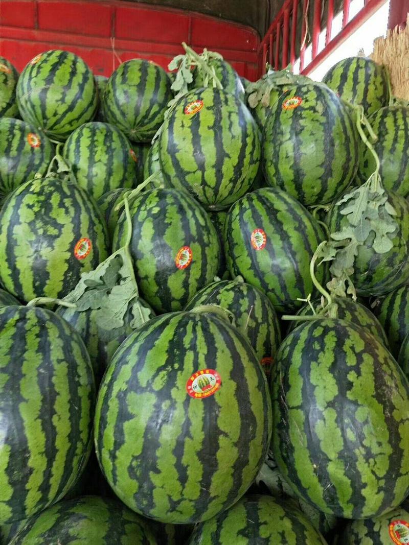 【热卖】安徽砀山甜王西瓜，精品货源，产地直发全国