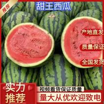 新疆精品甜王西瓜，大量供应，果型饱满，糖度高，耐运输