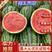 新疆精品甜王西瓜，大量供应，果型饱满，糖度高，耐运输