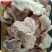 肉鸡带骨上腿块山东厂家供应_有路食品_冷冻鸡产品分割