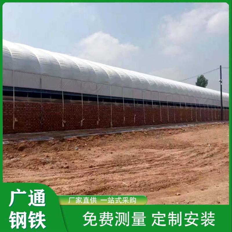 天津养殖大棚生产厂家专业承建养殖大棚种植棚冷棚暖棚