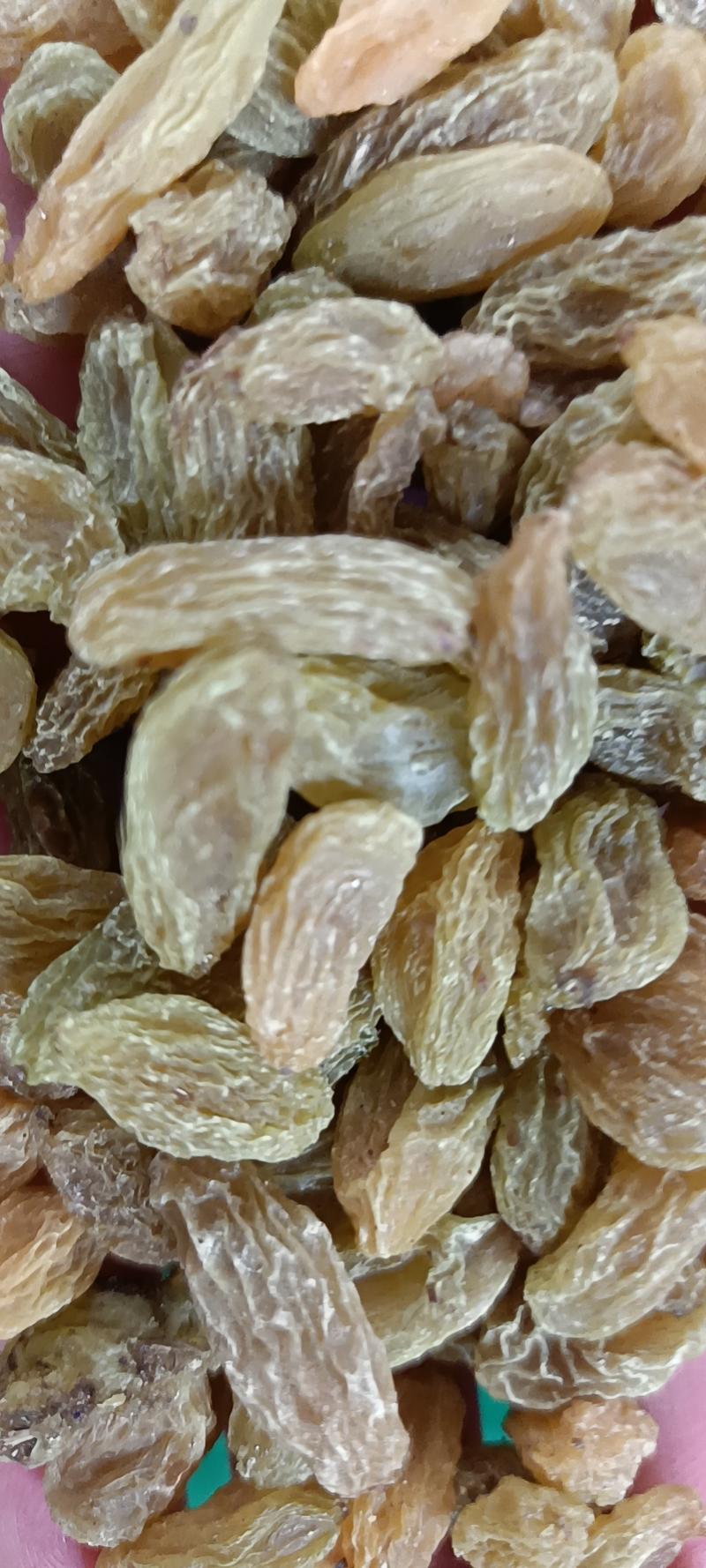 新疆葡萄干颗粒饱满口感好质量保证厂家直供价格低
