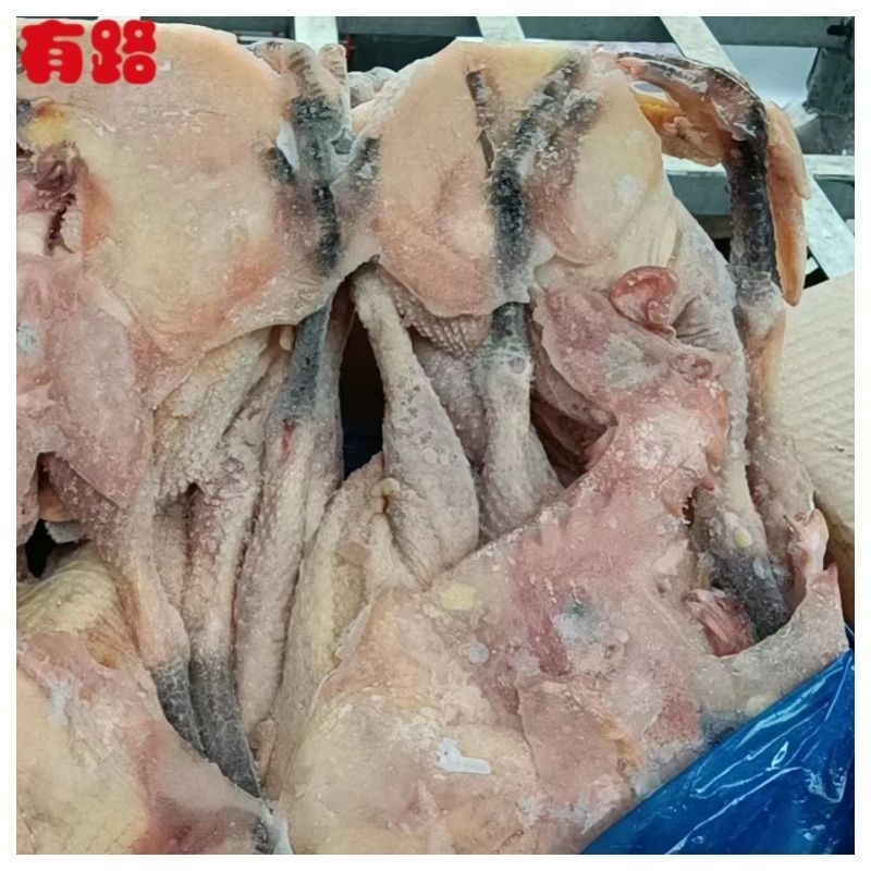 黑爪大公鸡_有路冷冻鸡肉白条鸡系列产品_厂家货源