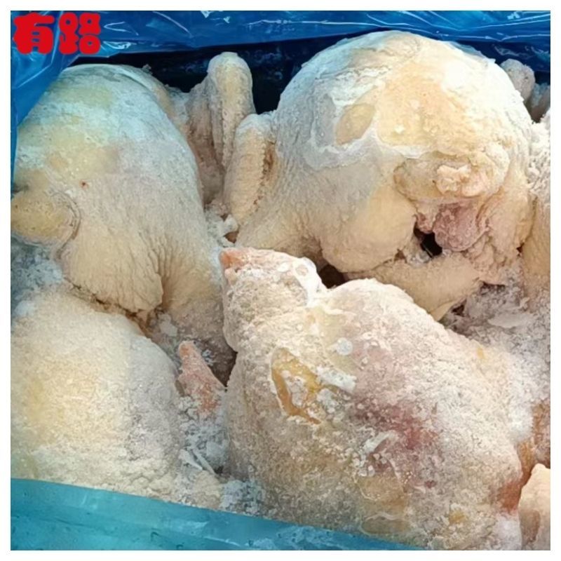 黑爪大公鸡_有路冷冻鸡肉白条鸡系列产品_厂家货源