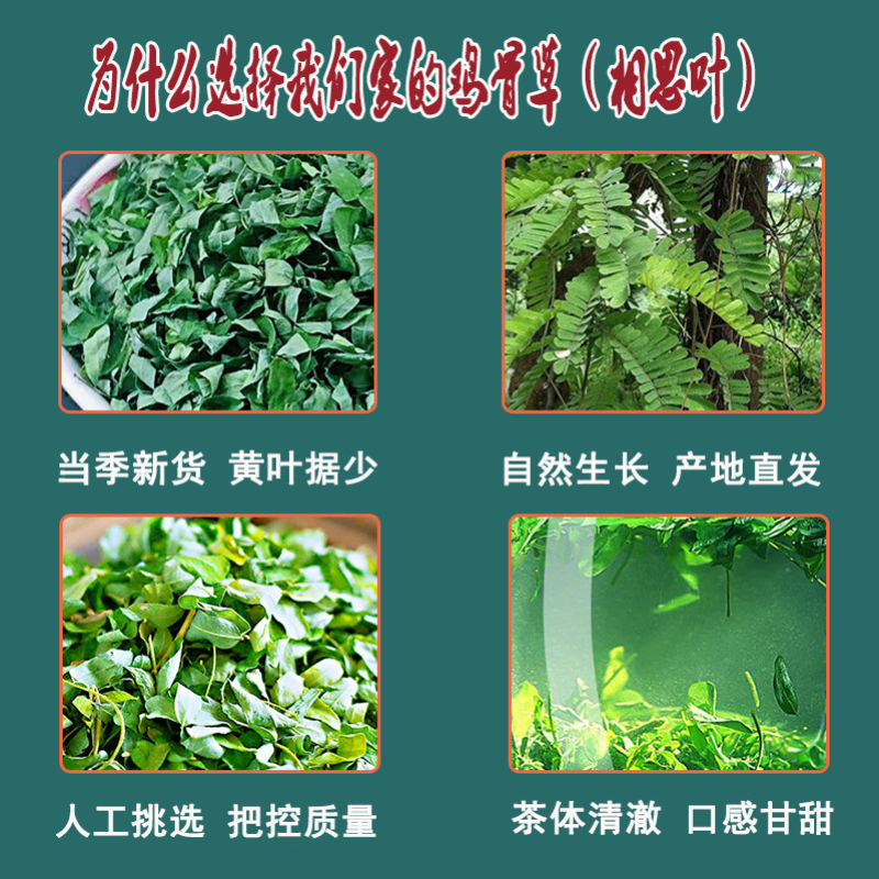 新货炒制相思叶鸡骨草散装批发