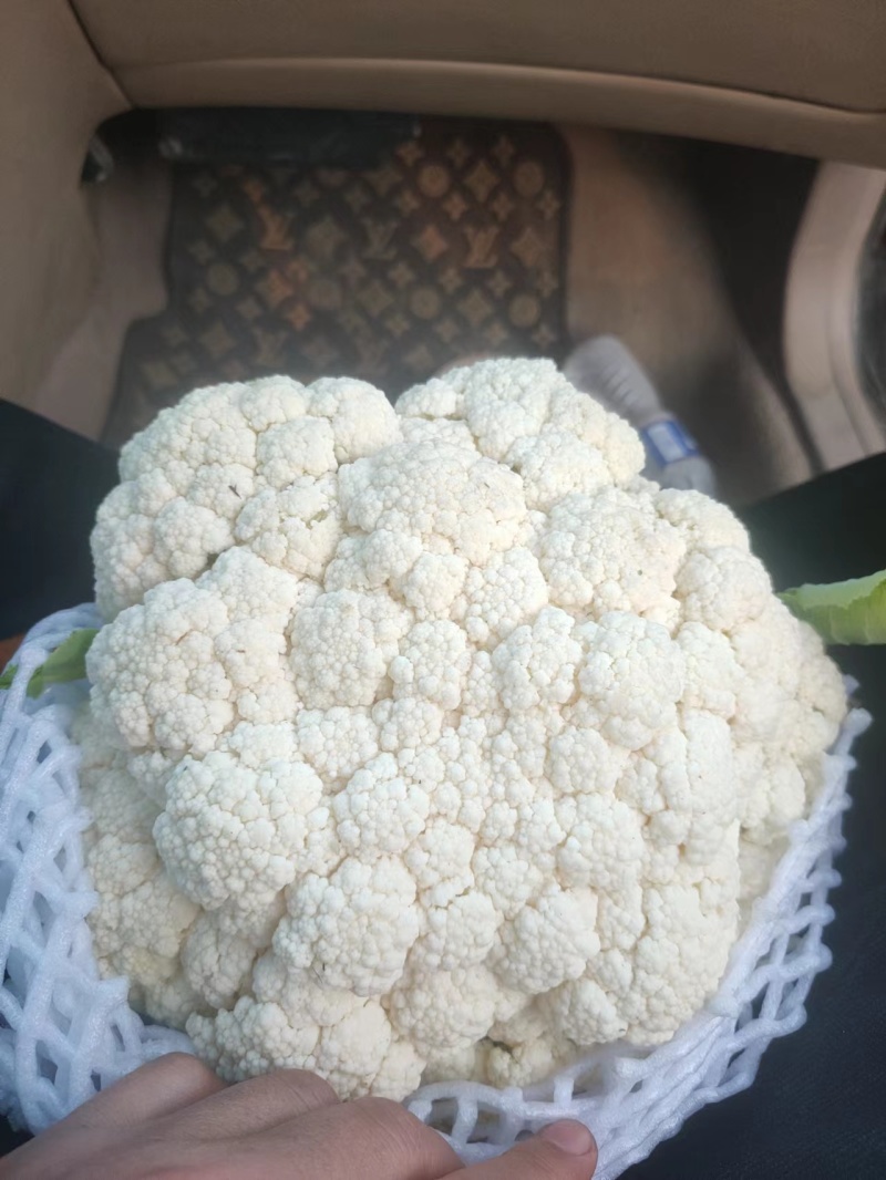 【产地发货】菜花有机花松花菜白面青梗散花