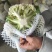 【产地发货】菜花有机花松花菜白面青梗散花
