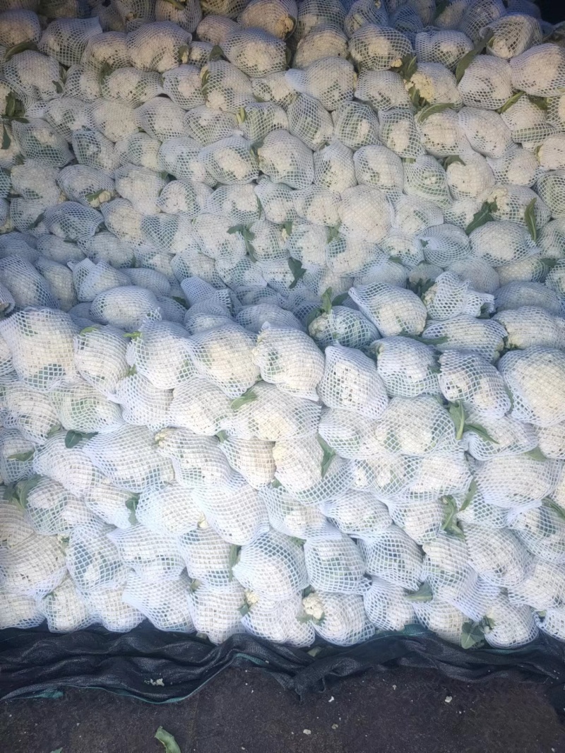【产地发货】菜花有机花松花菜白面青梗散花